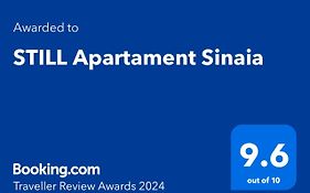 Still Apartament Sinaia