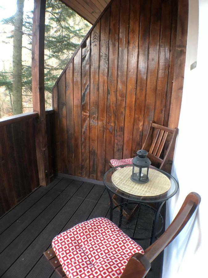 Still Apartament Sinaia Exterior foto