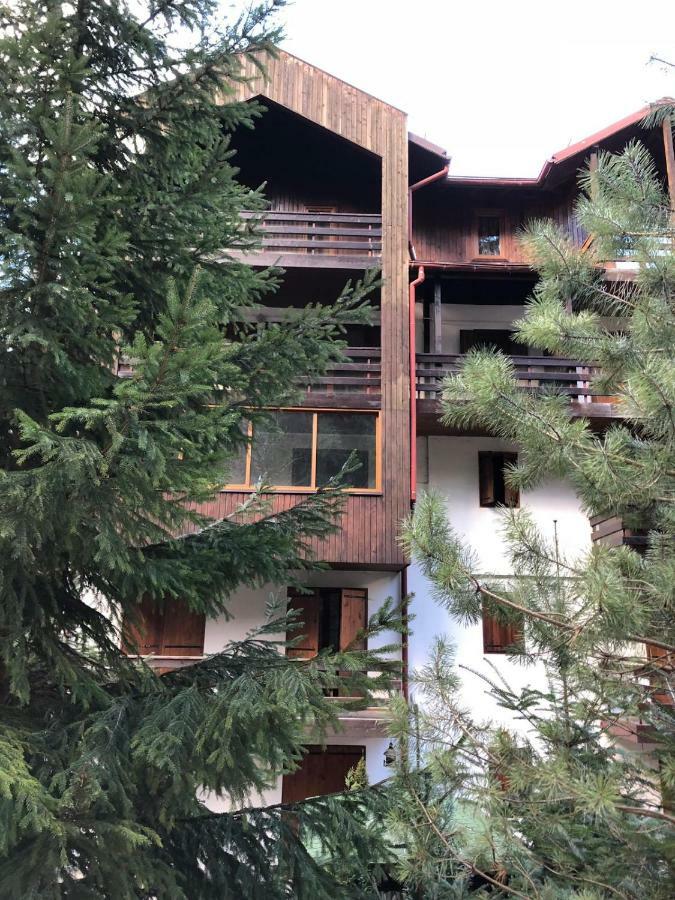 Still Apartament Sinaia Exterior foto